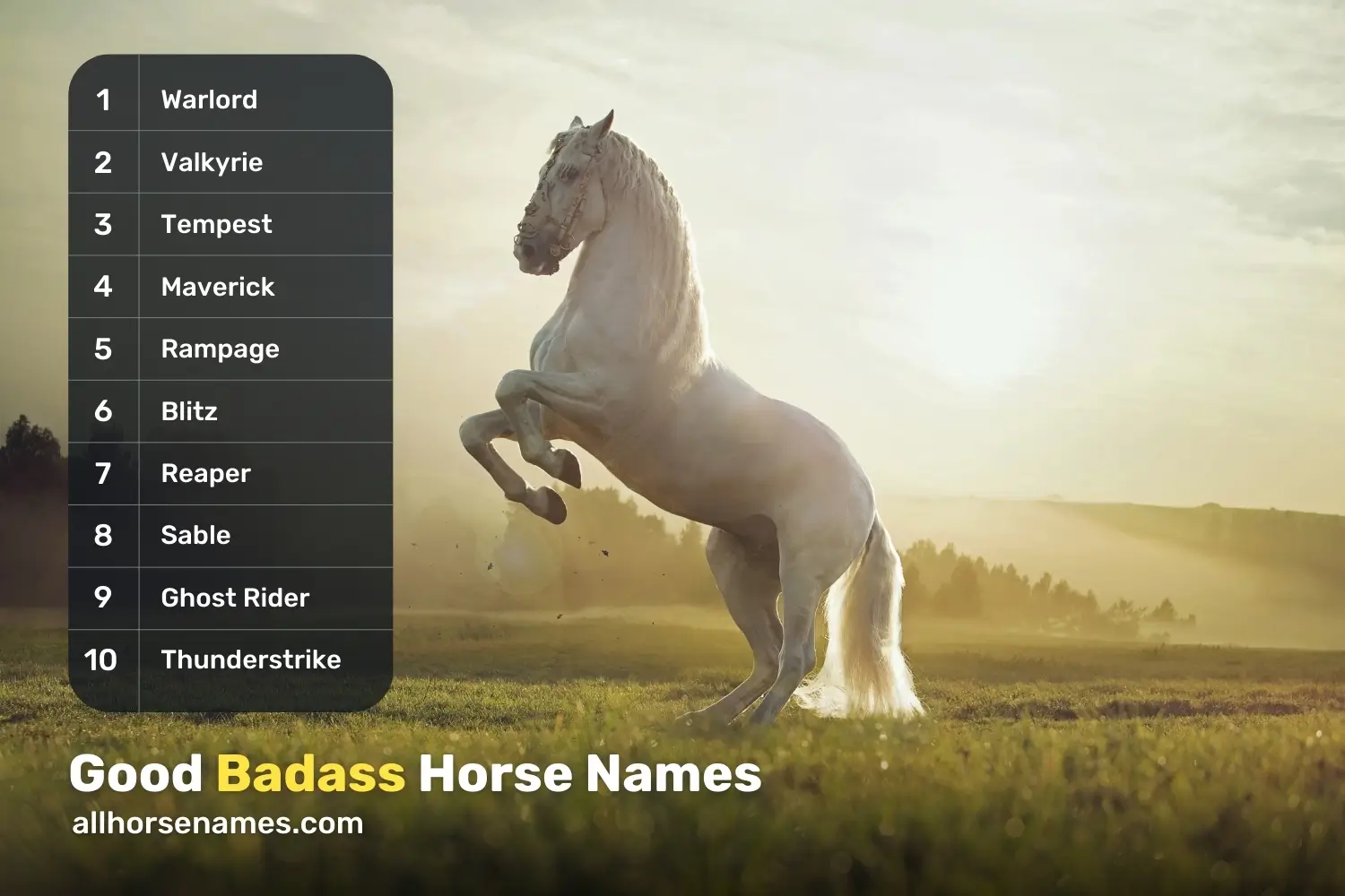 Good Badass Horse Names