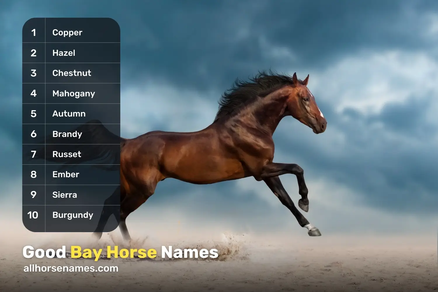 Good Bay Horse Names