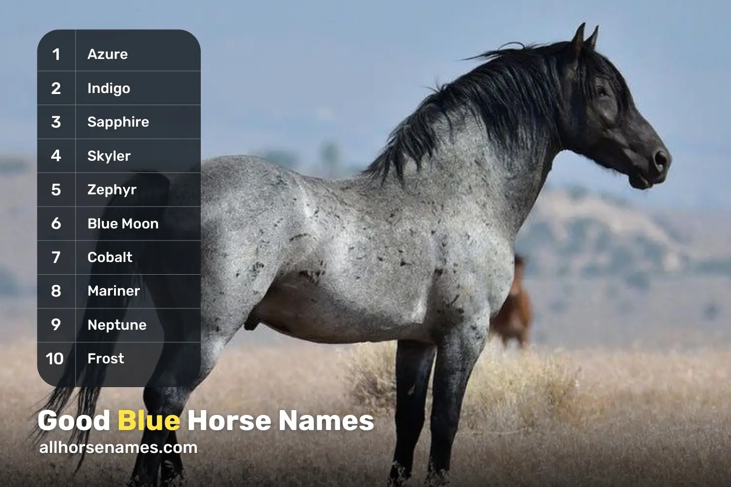 Good Blue Horse Names