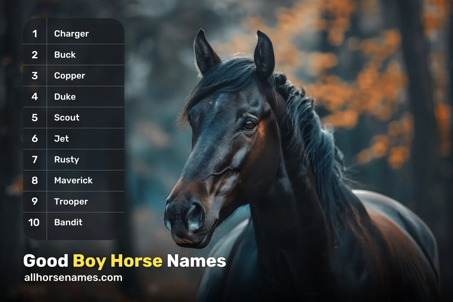 Good Boy Horse Names