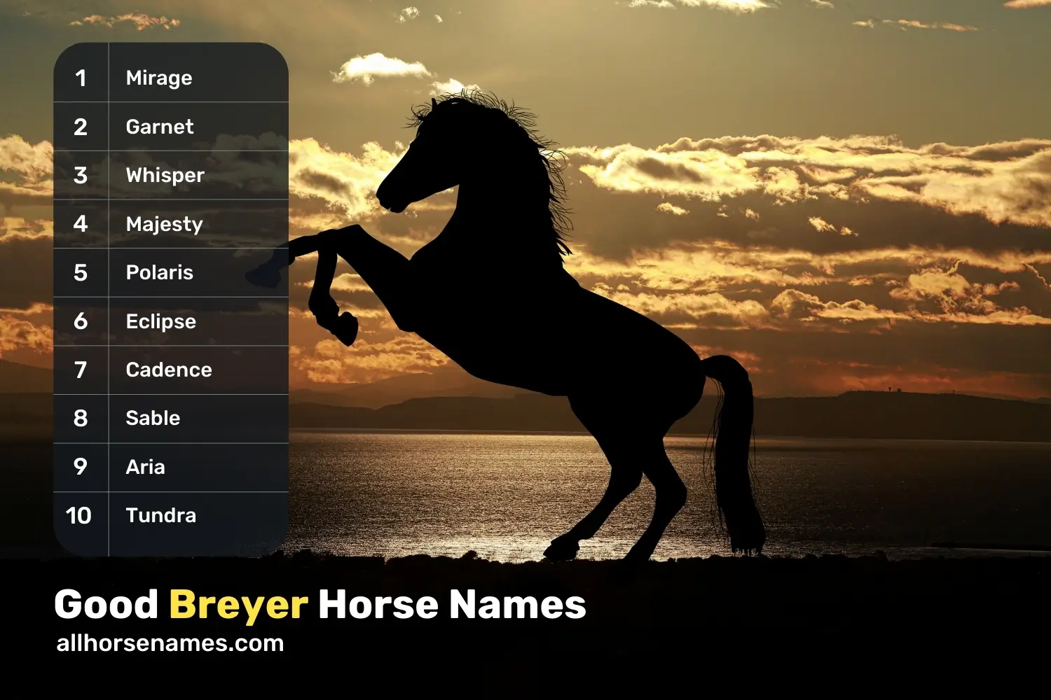 Good Breyer Horse Names