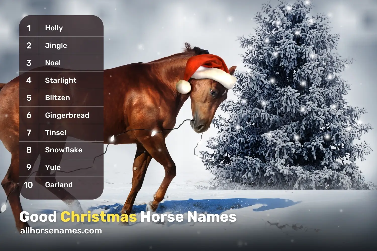 Good Christmas Horse Names