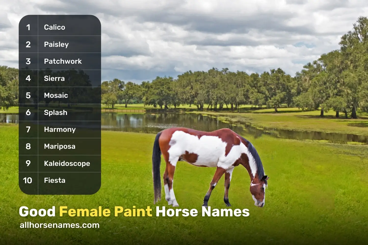 Good Female Paint Horse Names
