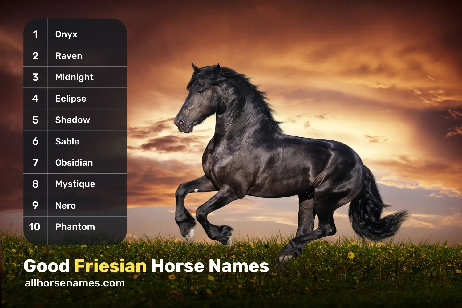 Good Friesian Horse Names