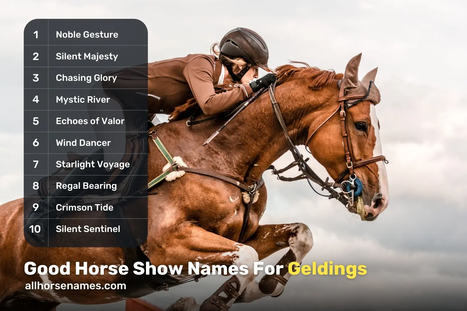 Good Horse Show Names For Geldings