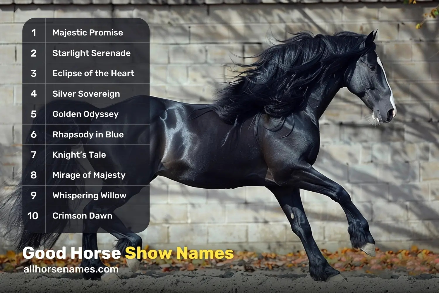Good Horse Show Names