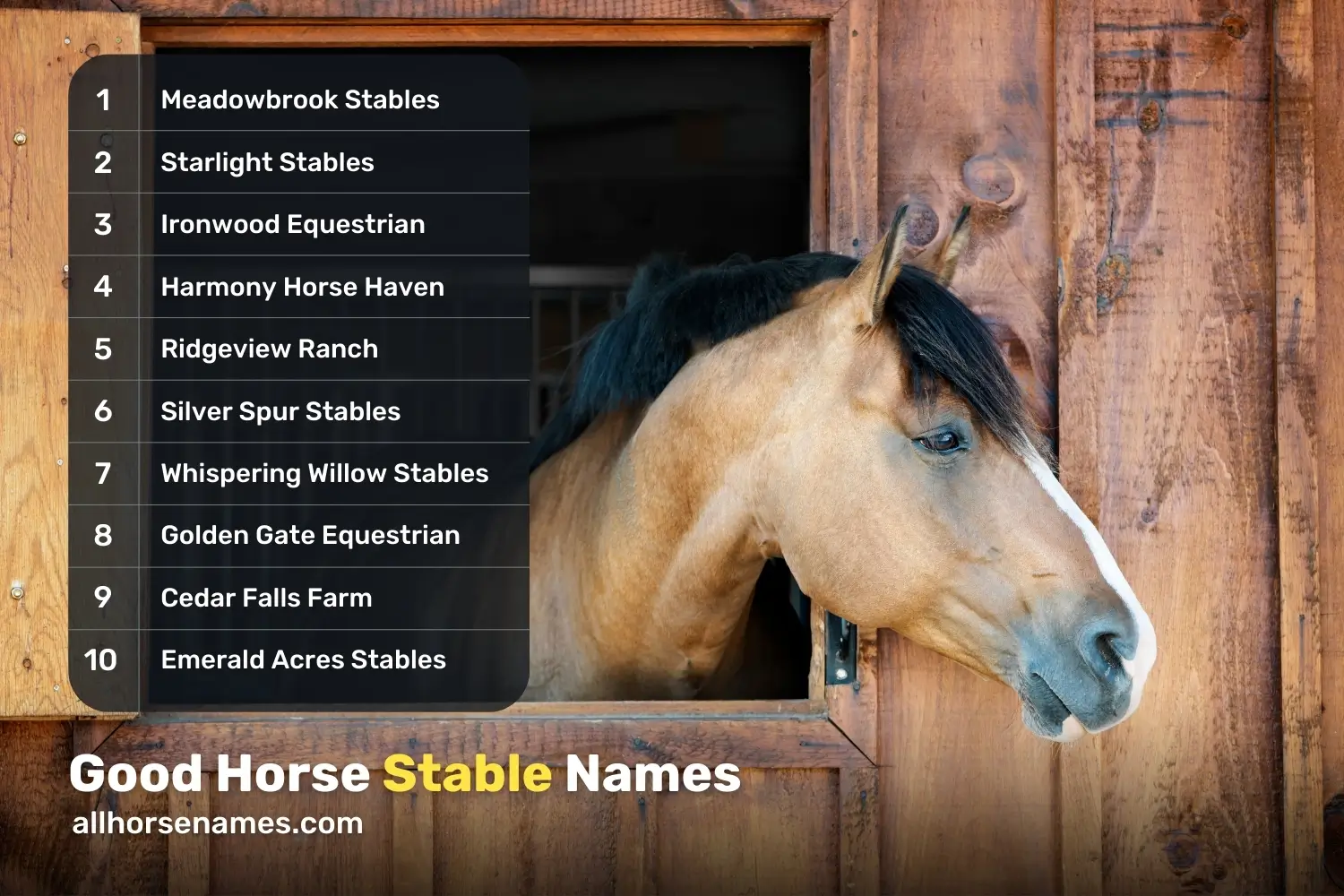 Good Horse Stable Names