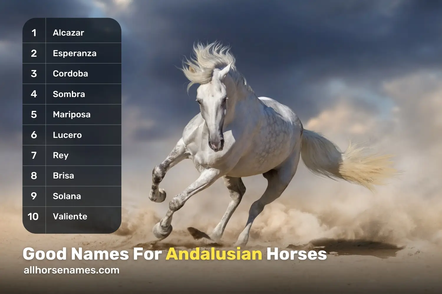 Good Names For Andalusian Horses