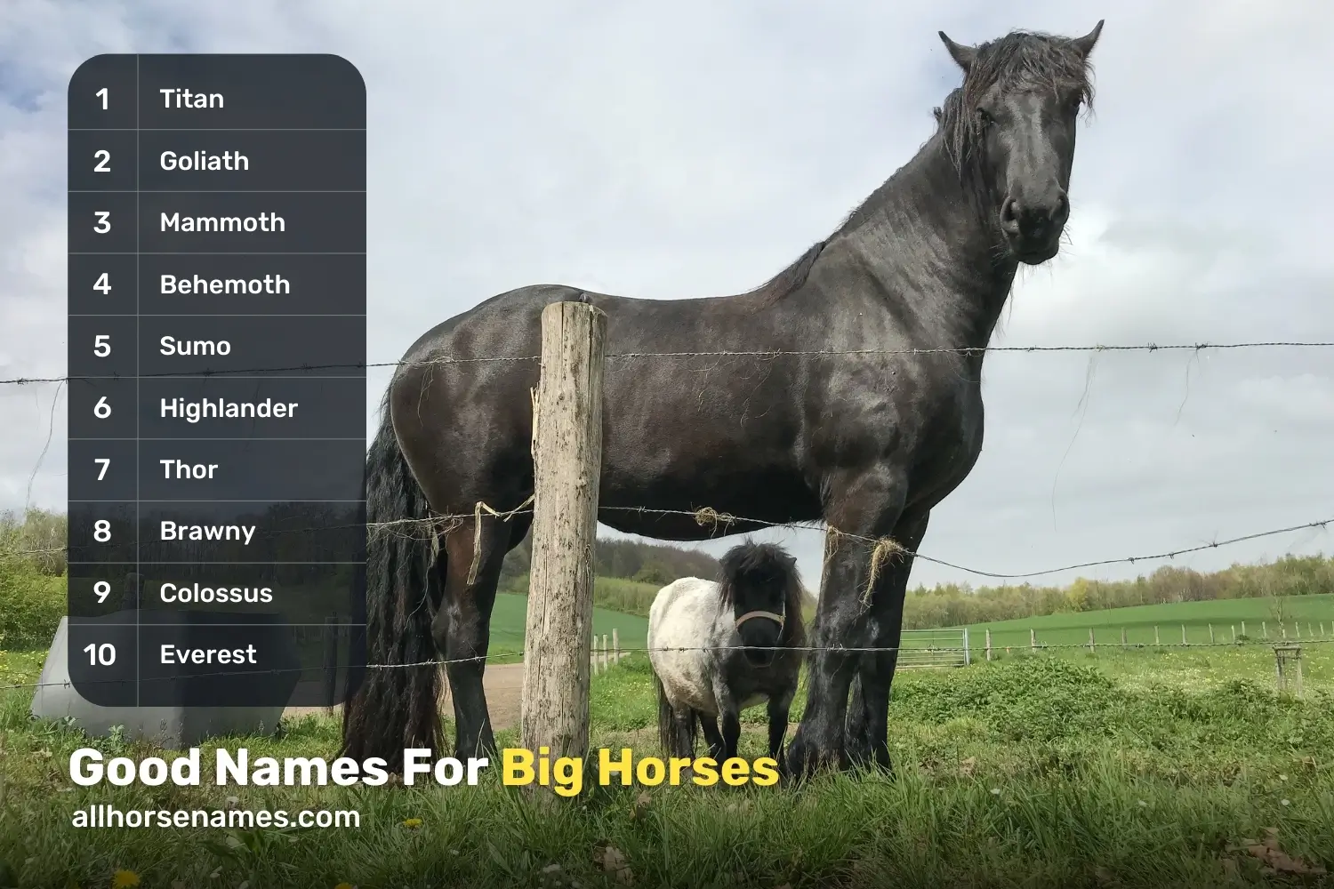 Good Names For Big Horses