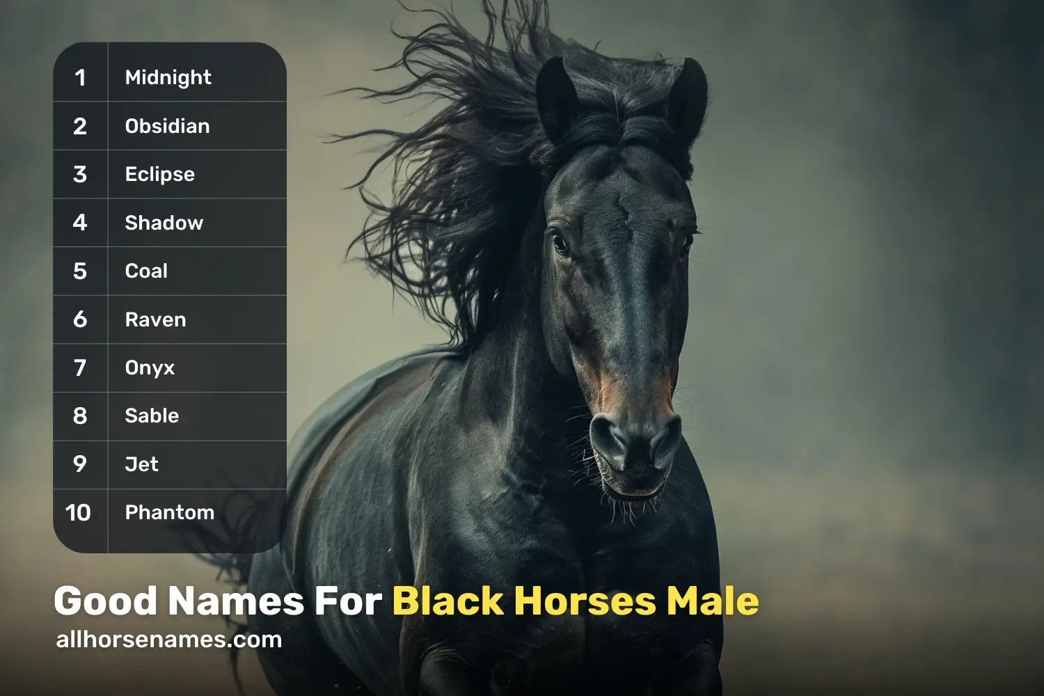 Good Names For Black Horses Male