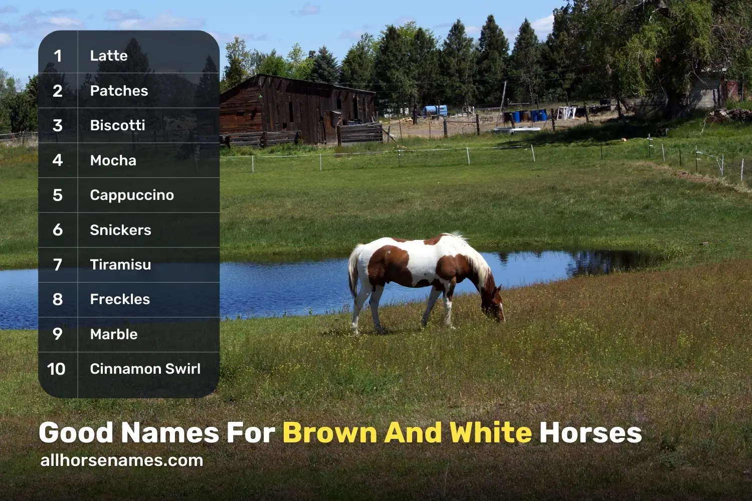 Good Names For Brown And White Horses