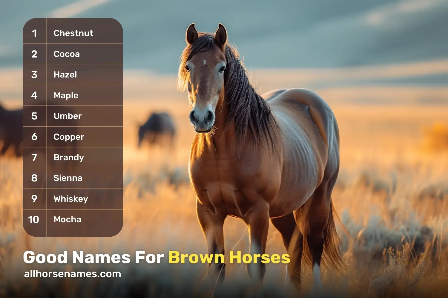 Good Names For Brown Horses