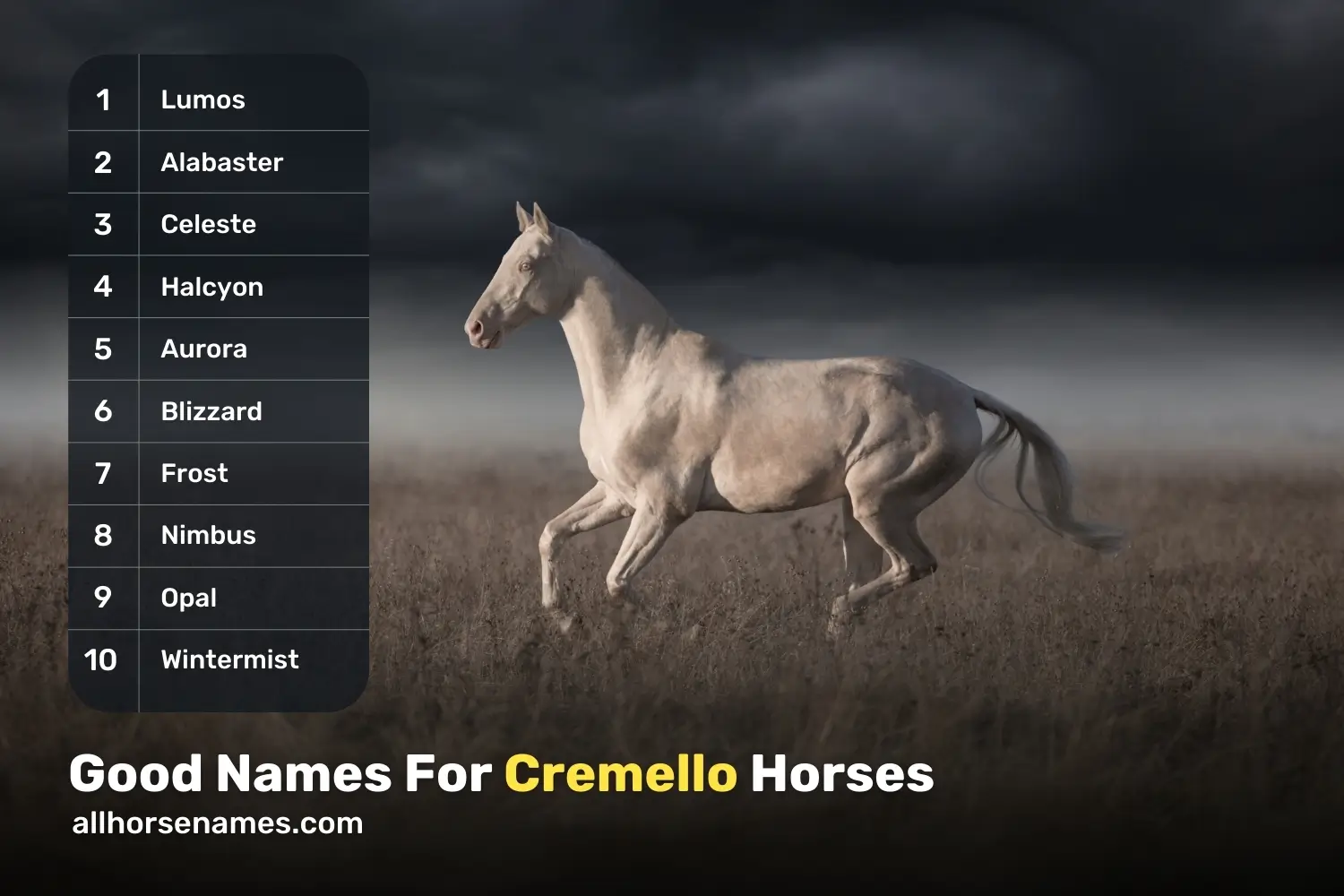 Good Names For Cremello Horses