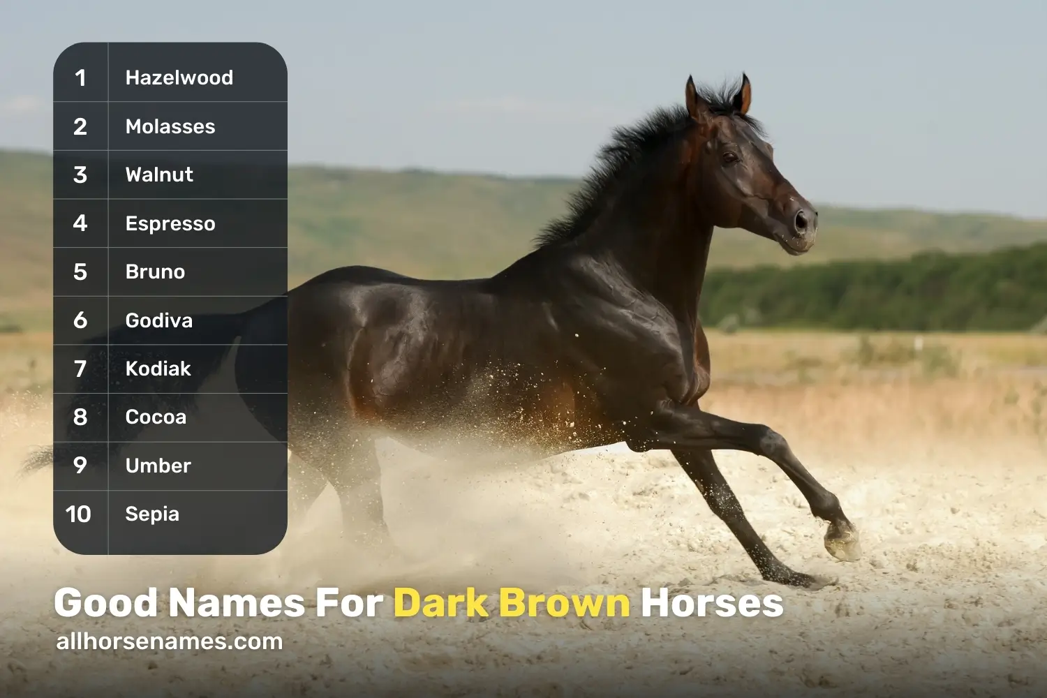 Good Names For Dark Brown Horses