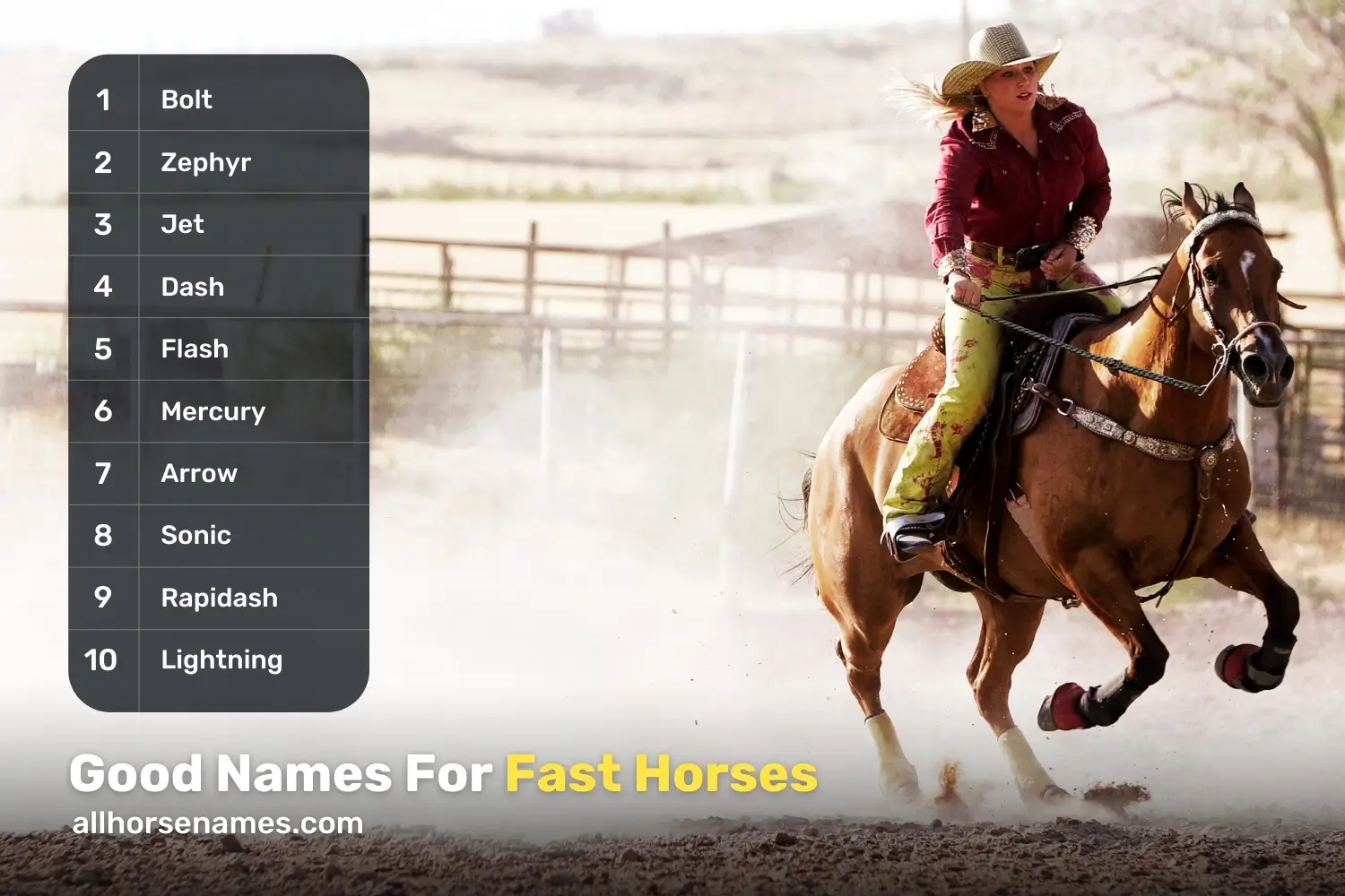 Good Names For Fast Horses