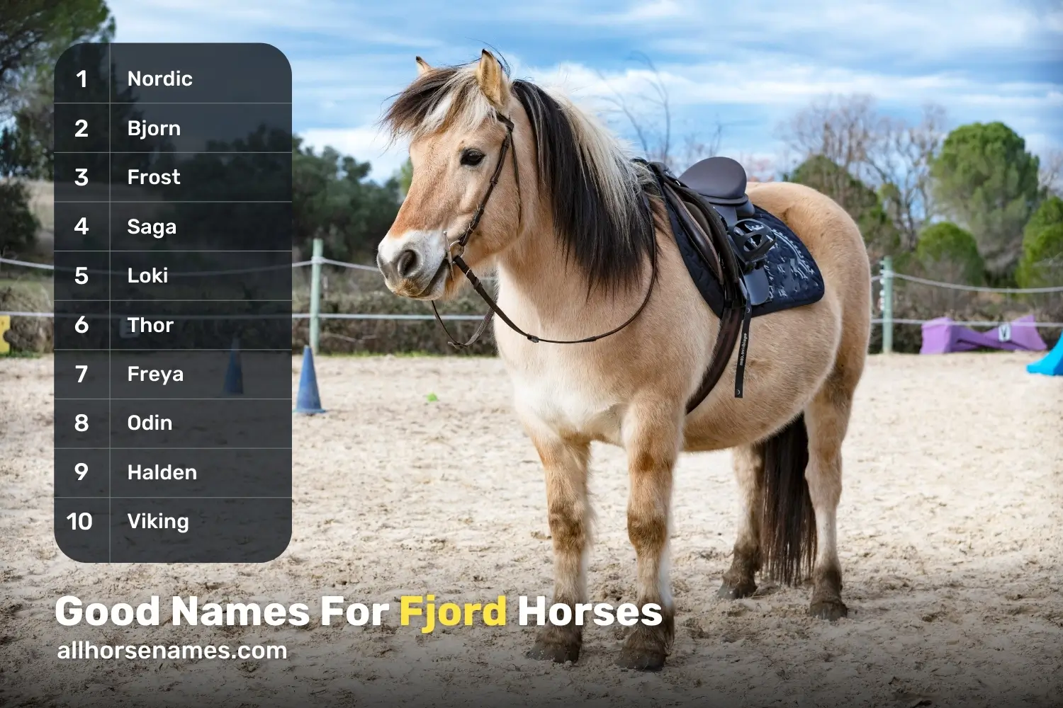 Good Names For Fjord Horses