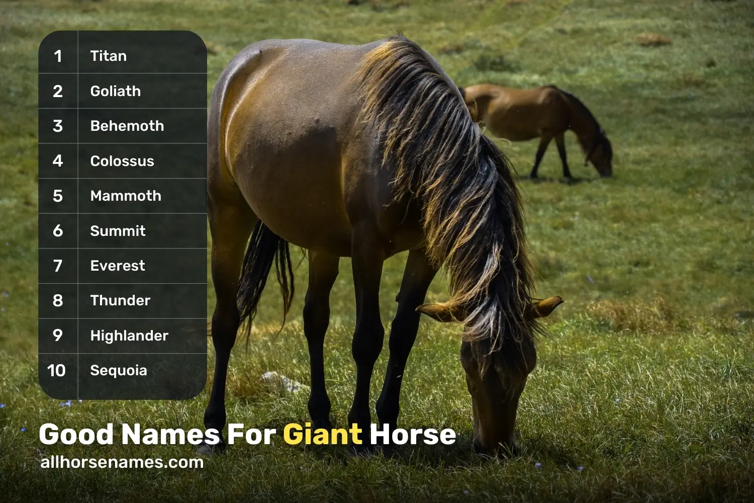 Good Names for Giant Horse