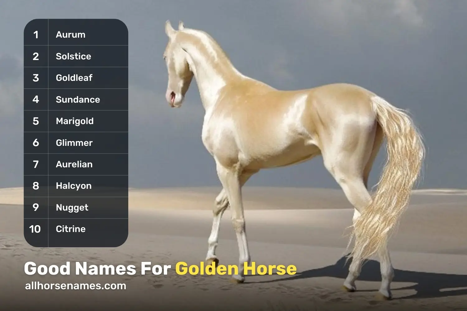 Good Names for Golden Horse