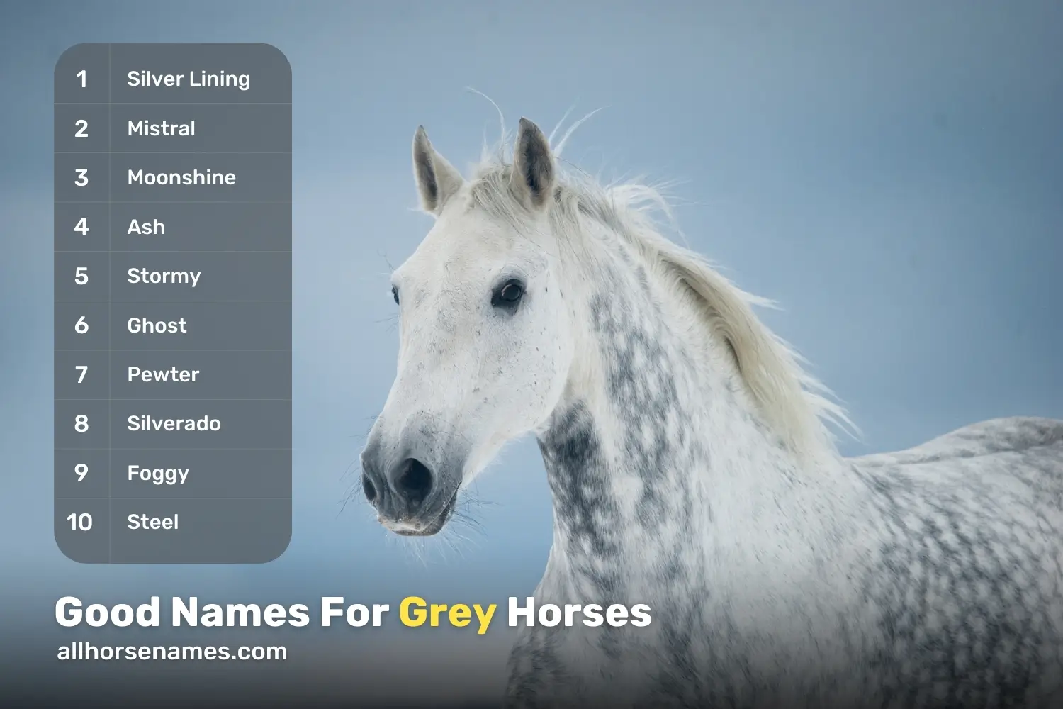 Good Names For Grey Horses