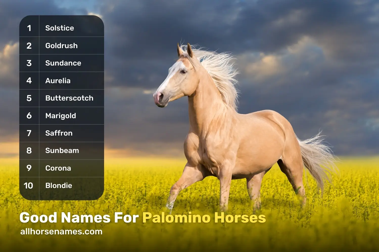 Good Names For Palomino Horses