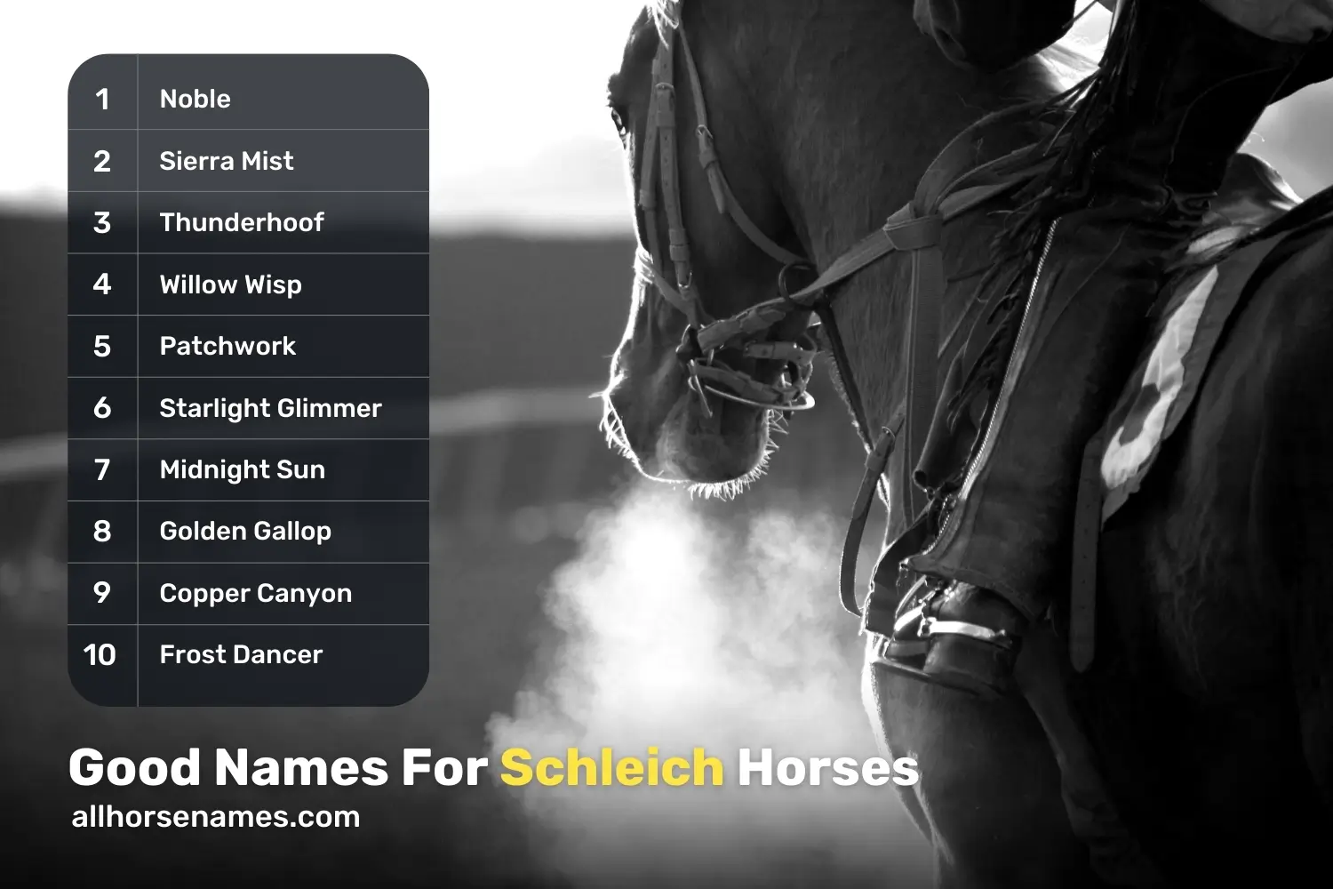 Good Names For Schleich Horses