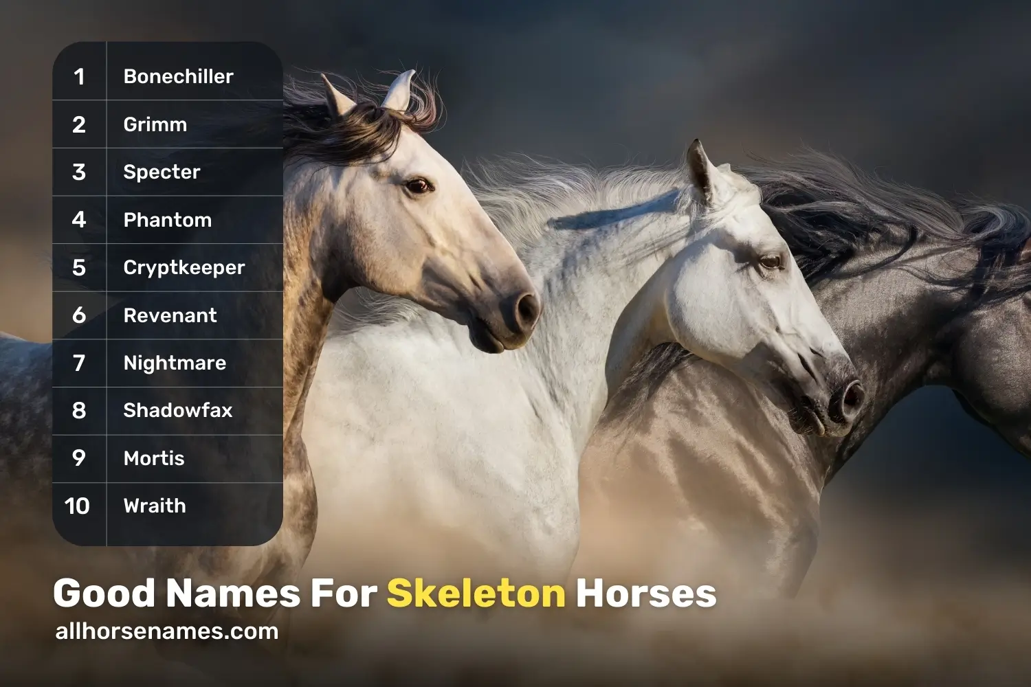 Good Names For Skeleton Horses
