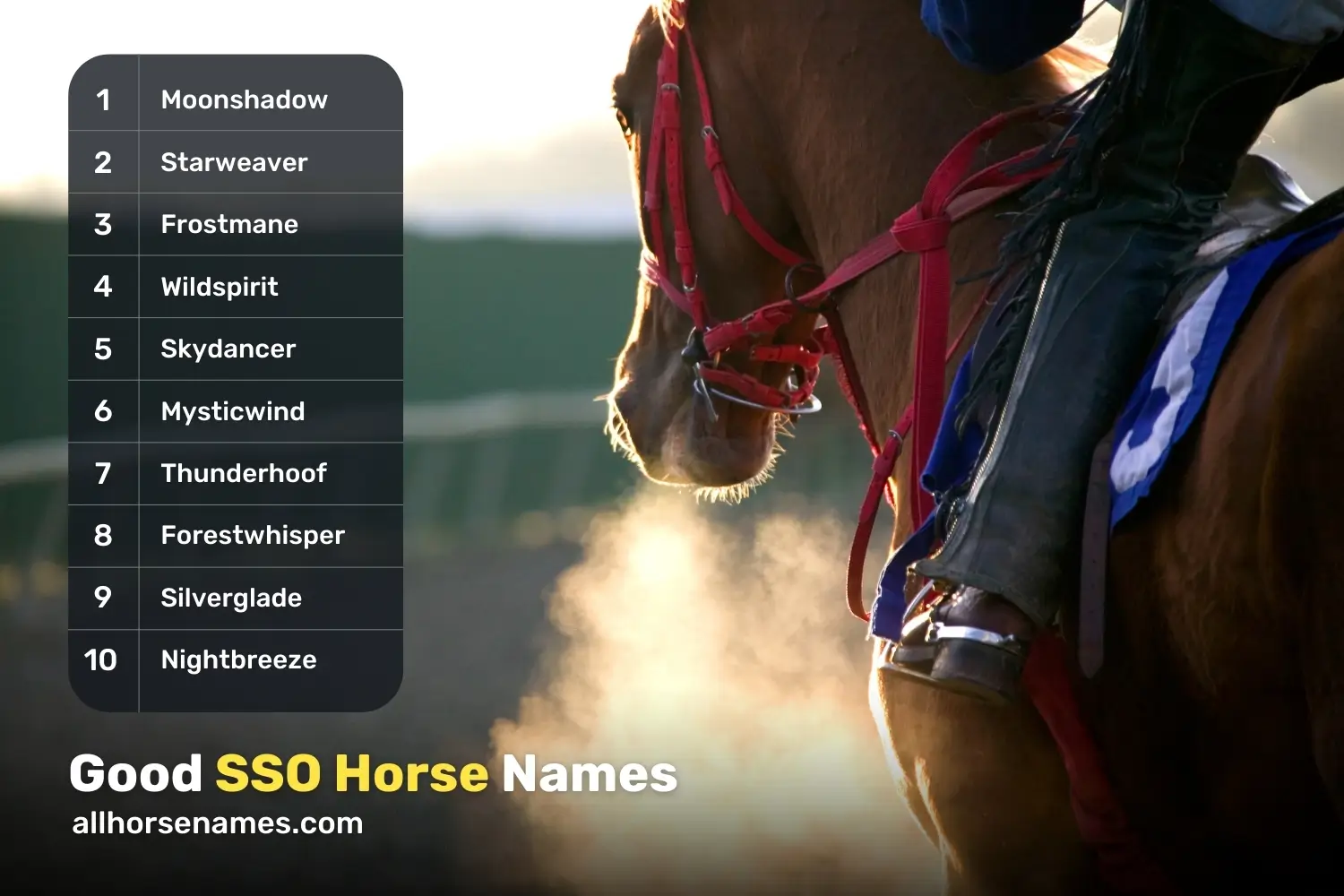 Good SSO Horse Names