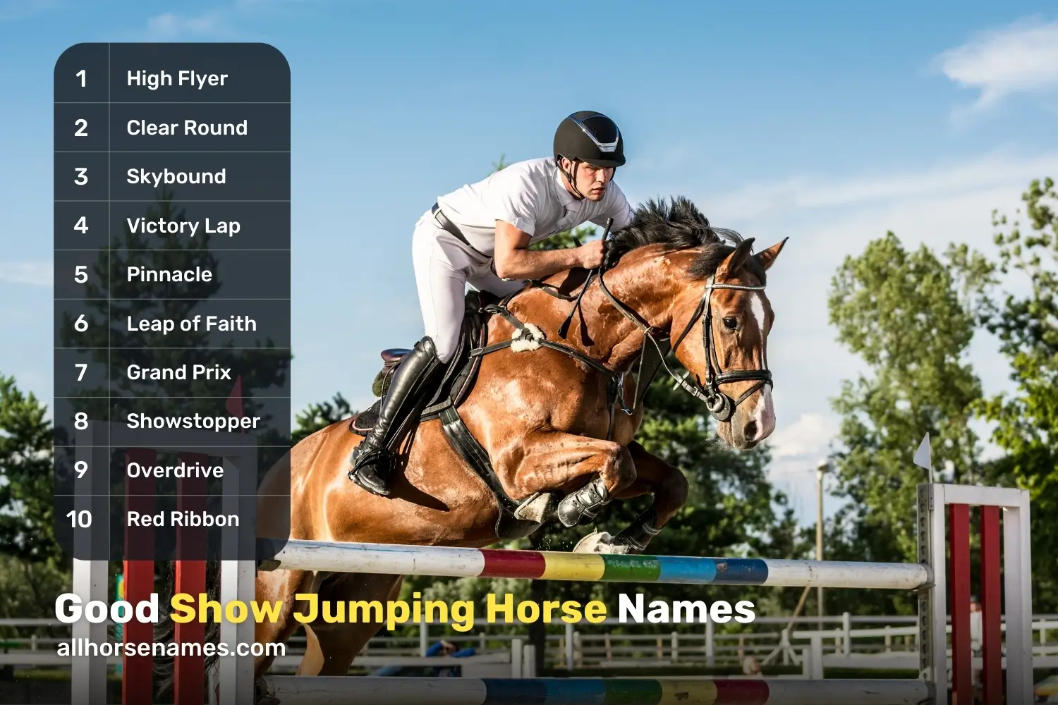 Good Show Jumping Horse Names