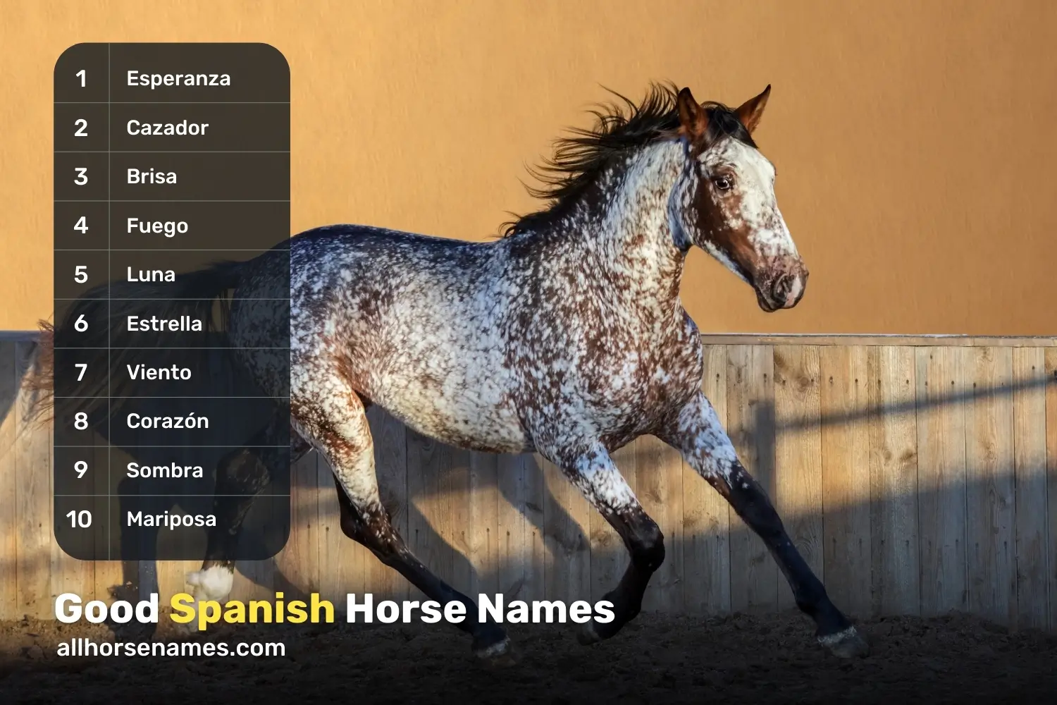 Good Spanish Horse Names