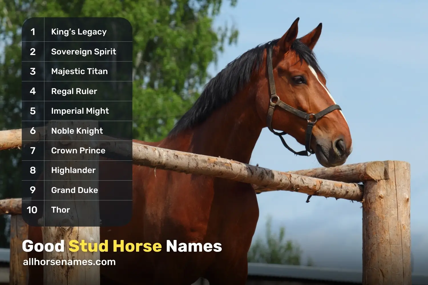 Good Stud Horse Names