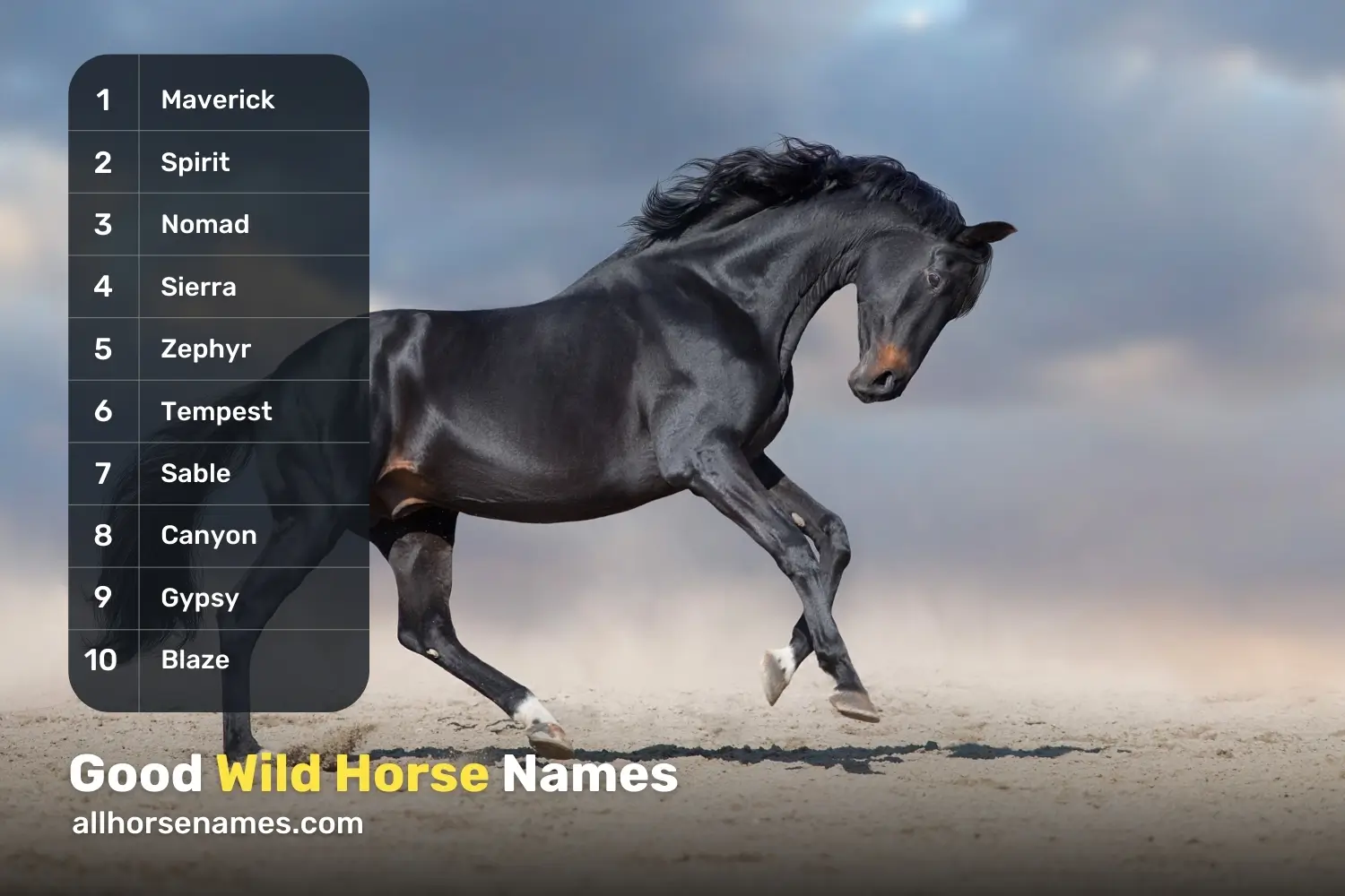 Good Wild Horse Names