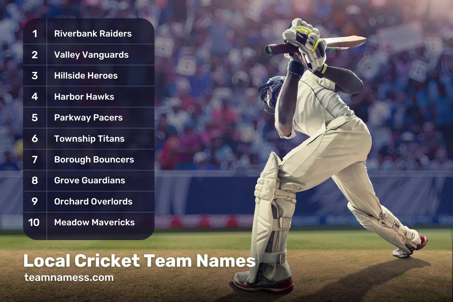 Local Cricket Team Names