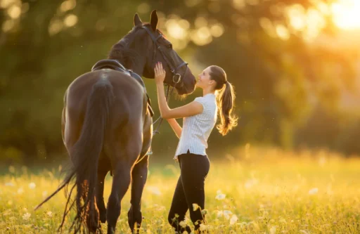 Good Female Horse Names