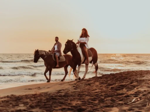 Good Male Horse Names