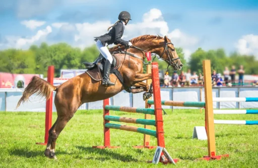 Horse Show Names