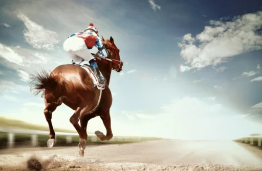 Race Horse Names