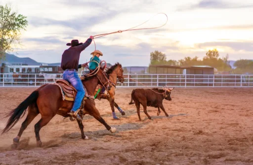 Rodeo Team Names