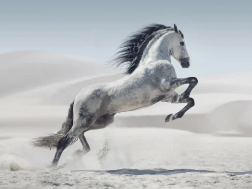 Unique Male Horse Names